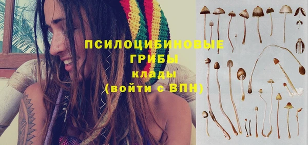 мет Бородино