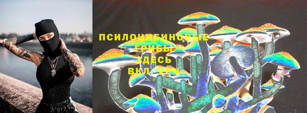 Альфа ПВП Богородицк