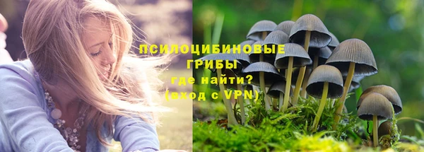 прущая мука Бронницы