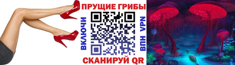 Псилоцибиновые грибы мицелий  наркотики  Мурманск 